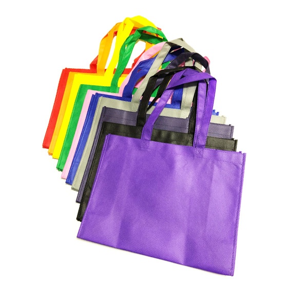 Eco-Friendly Non-Woven Shopping Bag