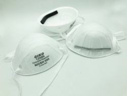 NIOSH N95 Mask