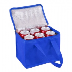 Non-Woven Cooler Bag