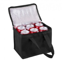 Non-Woven Cooler Bag