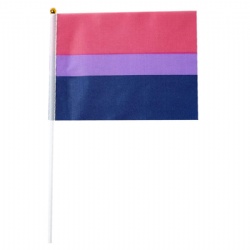 Custom Hand Held Pride Flag