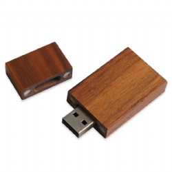 1GB Eco Friendly Wood USB Flash Drive