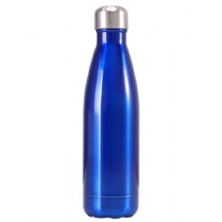 17oz Stainless Steel Vacuum Insulated Bottle