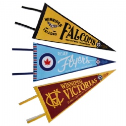 Colored Felt Strip Pennant