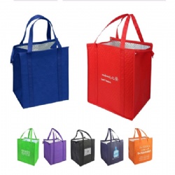 Insulated Cooler Tote Bag