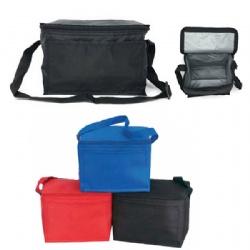 Budget 6-pack Cooler Bag