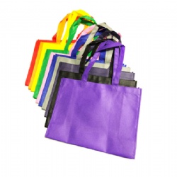 Eco-Friendly Non-Woven Shopping Bag